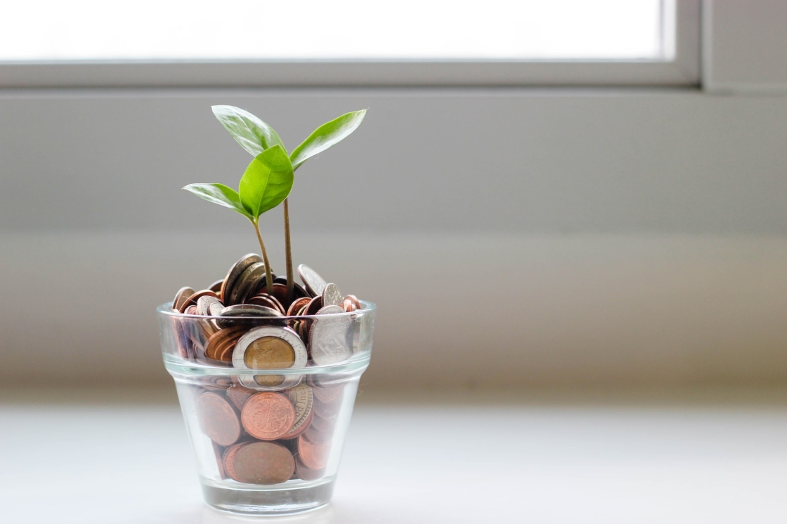 Money in a plant pot