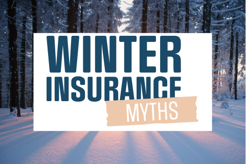 winter myths image